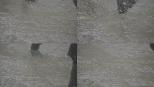 警察抗洪抢险雨中奔跑高清在线视频素材下载
