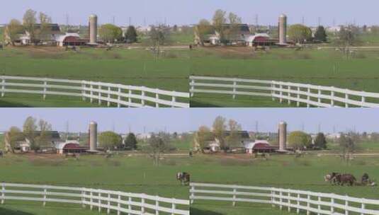 阿米什农民用马在耕田高清在线视频素材下载