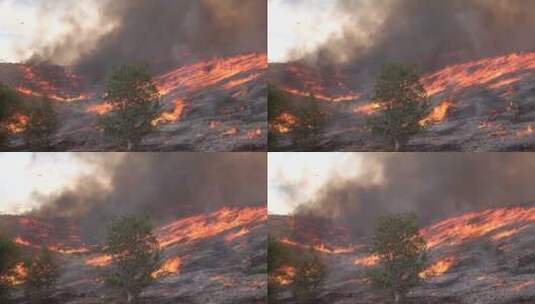 山丘上的火灾高清在线视频素材下载