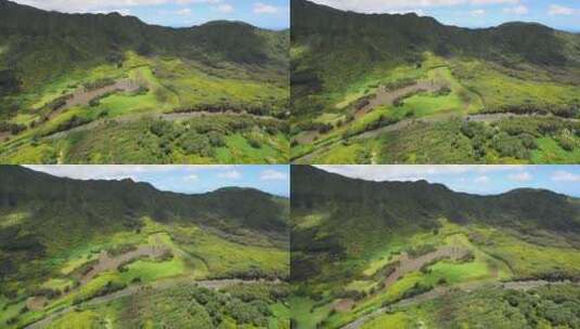 夏威夷热带丛林上空航拍高清在线视频素材下载