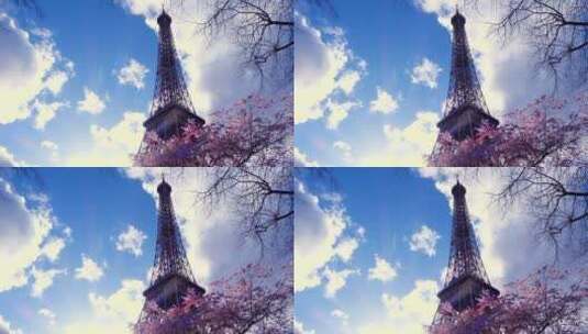 埃菲尔铁塔和樱花树高清在线视频素材下载