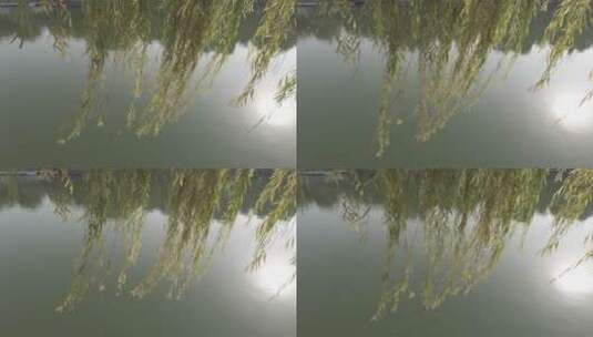 北京故宫护城河杨柳意境4K实拍高清在线视频素材下载