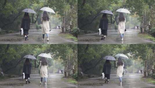 公园雨中时尚美女打伞的背影高清在线视频素材下载