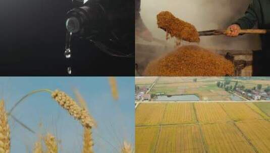 小麦酿酒工艺高清在线视频素材下载