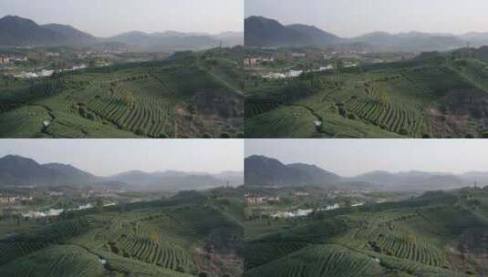 航拍杭州西湖风景区龙坞龙井绿茶山春茶园高清在线视频素材下载