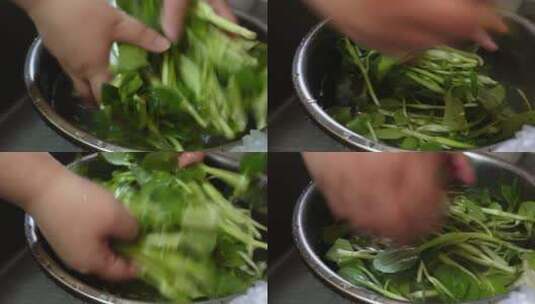 清洗菠菜苗沥水洗菜做菜高清在线视频素材下载