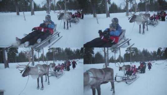 芬兰雪地里的驯鹿场高清在线视频素材下载