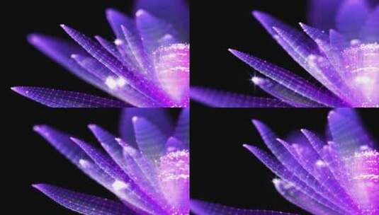 紫色浪漫粒子花朵舞台高清在线视频素材下载