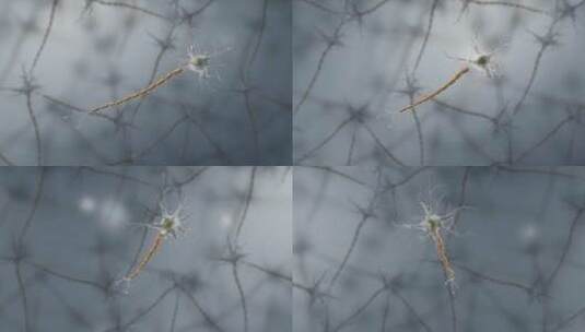 神经元神经组织神经系统高清在线视频素材下载