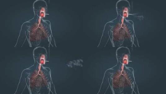 吸烟对肺的影响吸烟危害肺癌高清在线视频素材下载