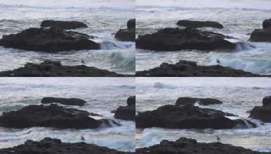 海边的岩石高清在线视频素材下载