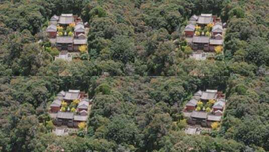 寺院视频隐藏深山中的寺院巍宝山文昌宫近景高清在线视频素材下载