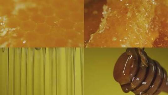 蜂巢蜂蜜高清在线视频素材下载