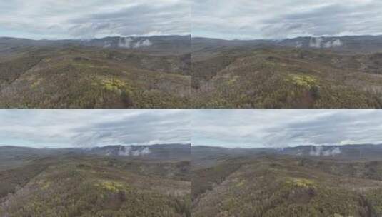 大兴安岭冻土地带秋季原始森林高清在线视频素材下载