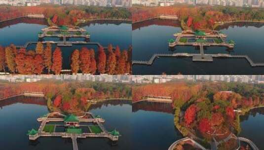 湖北武汉东湖风景区秋季风光高清在线视频素材下载