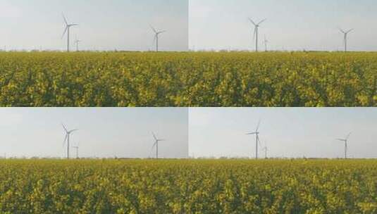 风轮机在乡村景观与黄色的花朵和无云的天空高清在线视频素材下载
