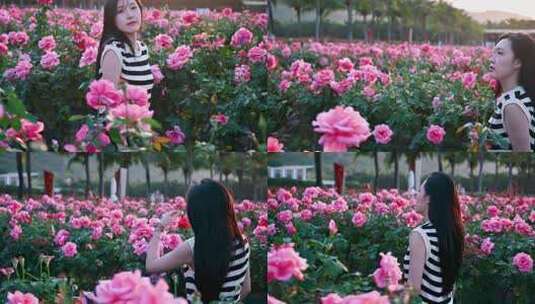 三亚博后村玫瑰花田中的游玩的中国漂亮女孩高清在线视频素材下载