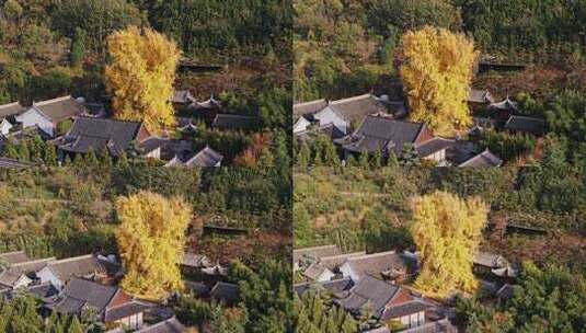 陕西西安古观音禅寺秋景高清在线视频素材下载