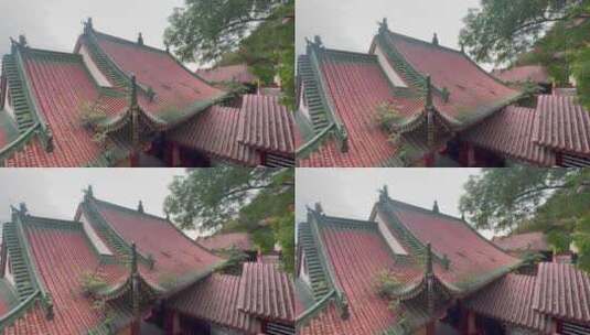 古建筑红色屋顶屋檐树枝高清在线视频素材下载