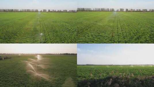 农业农田灌溉浇水喷灌高清在线视频素材下载