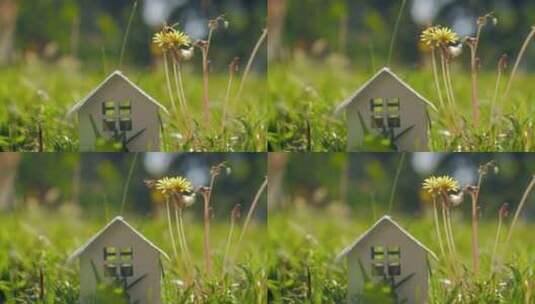 生态家居与生活隐喻绿草中的小房子高清在线视频素材下载
