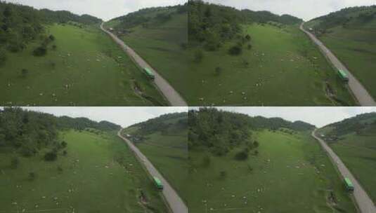 航拍草原羊群牧场绿色夏天高清在线视频素材下载