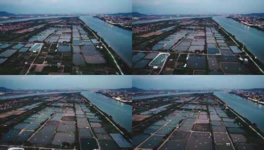 广东佛山桑基鱼塘生态水产养殖基地航拍高清在线视频素材下载