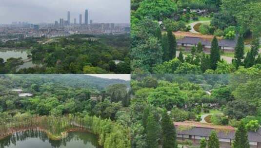 航拍广西南宁青秀山自然景观高清在线视频素材下载