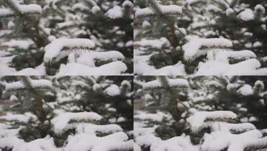 雪景、雪天、下雪、积雪高清在线视频素材下载
