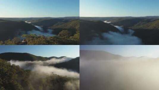 大自然 云雾森林 树林 自然空镜高清在线视频素材下载