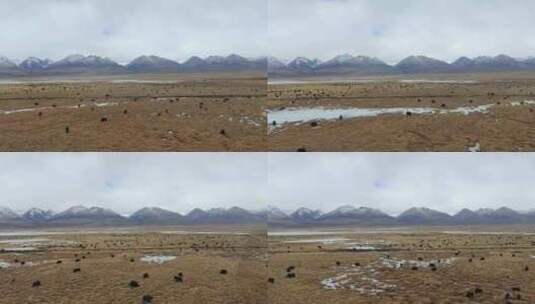 青藏铁路火车窗外的那曲草原高清在线视频素材下载