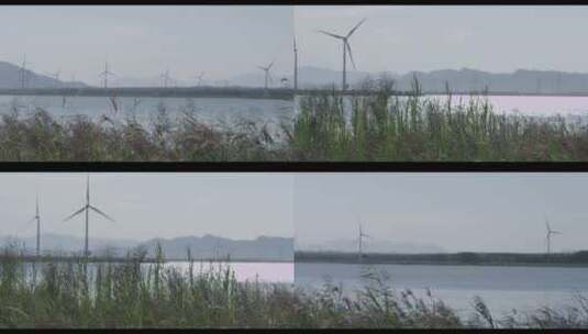 官厅湖 随风微微晃动的小草 风力发电机高清在线视频素材下载