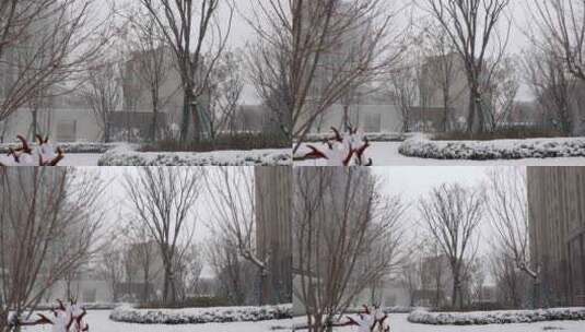 2023年北京的第一场大雪高清在线视频素材下载