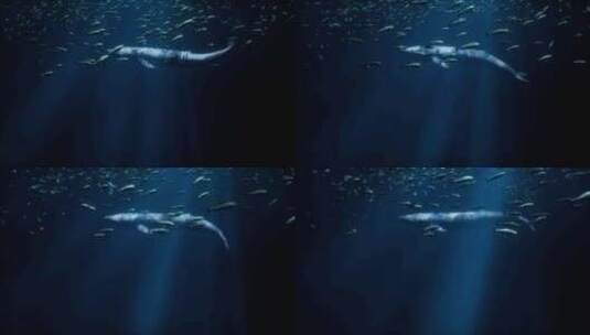 一头雄伟的鲸鱼在浩瀚海洋的鱼群中游泳高清在线视频素材下载