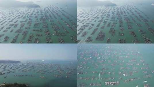 海上海鲜养殖航拍高清在线视频素材下载