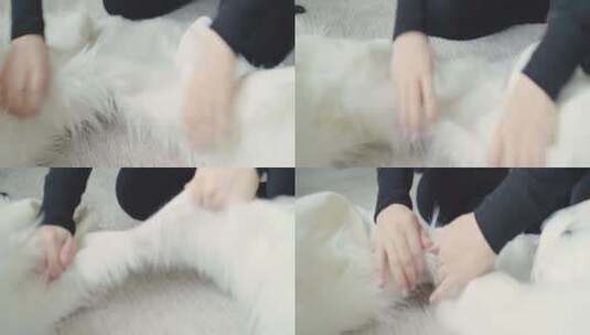 女人坐在地板上撕开毛茸茸的白色材料高清在线视频素材下载