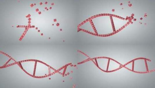 构建DNA的动画过程高清在线视频素材下载