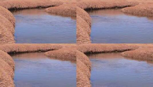冬季 草原 河流 水流 清澈的高清在线视频素材下载