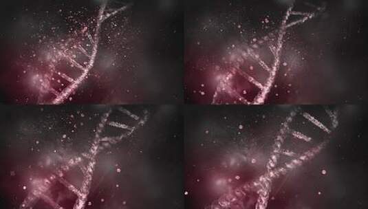 疾病破坏 DNA 链高清在线视频素材下载