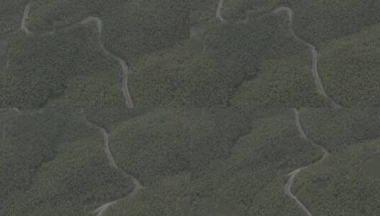 竹林深山公路航拍4k灰度素材高清在线视频素材下载