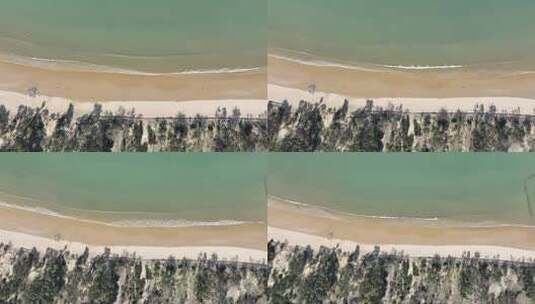 海边树林航拍海岸线森林大海松树沙滩植被高清在线视频素材下载