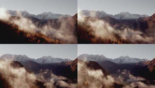 云雾缭绕的森林雪山云雾自然风光高清在线视频素材下载