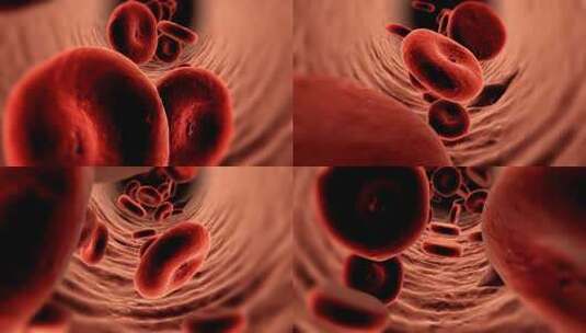 血管内部血液流淌高清在线视频素材下载