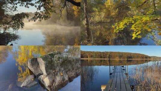 秋季森林湖泊河流雾气水中倒影高清在线视频素材下载