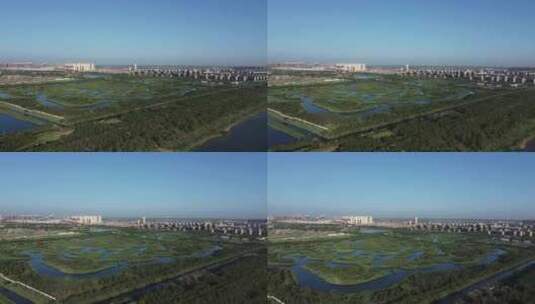 天津市静海区团泊镇生态乡村风光高清在线视频素材下载