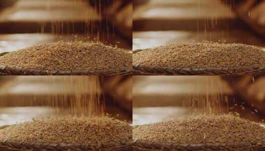 小麦掉落密集高清在线视频素材下载