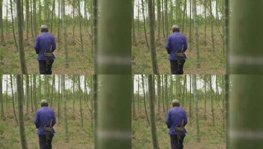 老人走在竹林里砍竹子慢动作高清在线视频素材下载