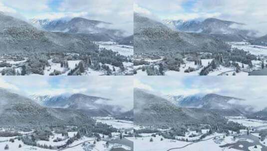 西藏林芝鲁朗林海雪原冬天乡村雪景风光航拍高清在线视频素材下载