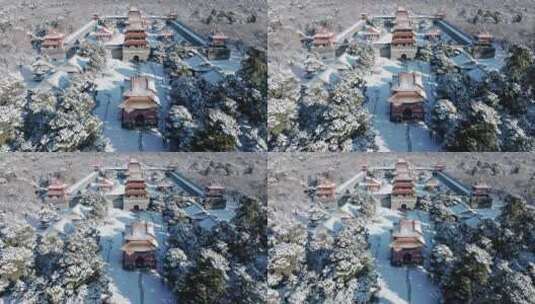 4K高清雾凇冰雪寒冷沈阳北陵公园雪景高清在线视频素材下载