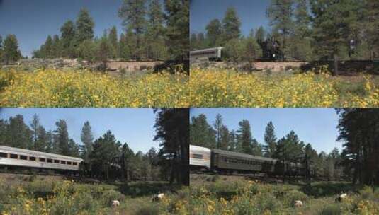 蒸汽火车穿过森林高清在线视频素材下载